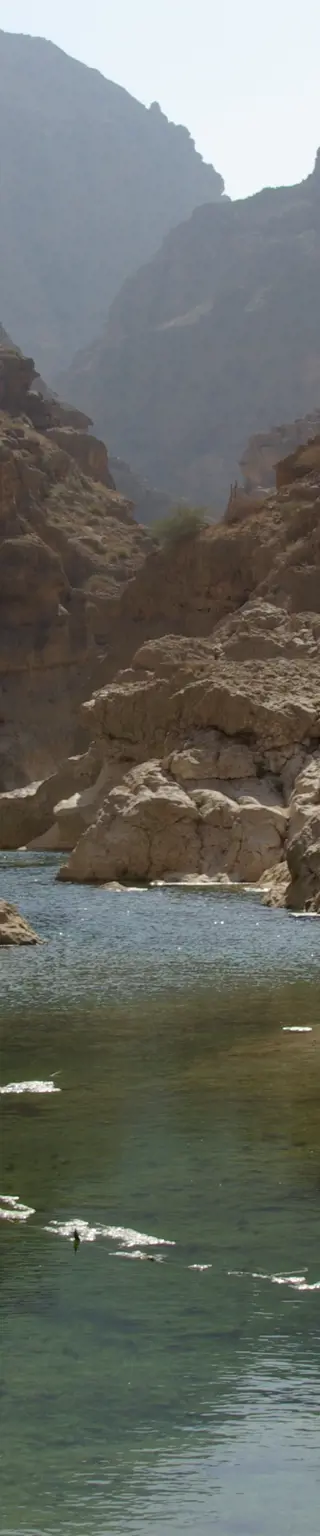 Wandere durch das Wadi Tiwi
